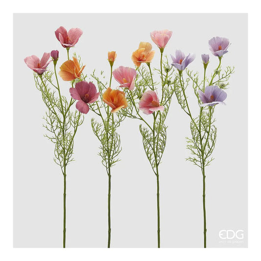 Cosmos