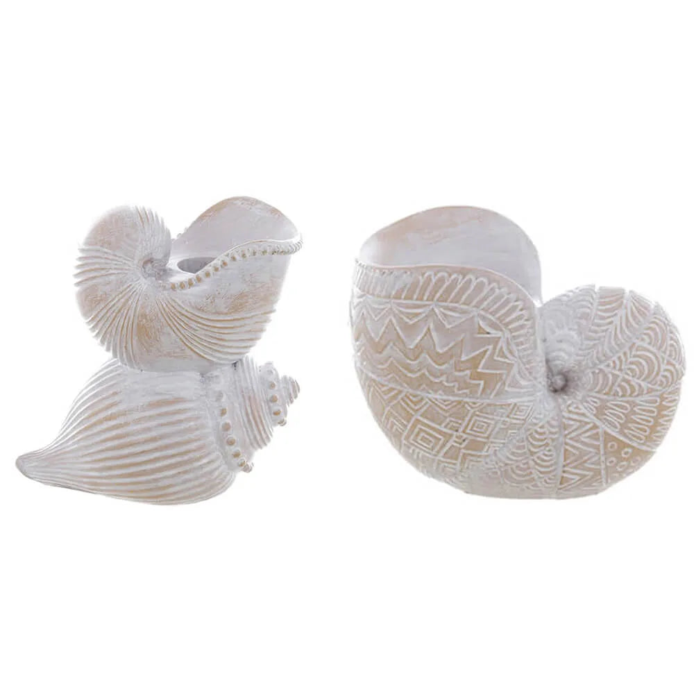 Portacandela conchiglia