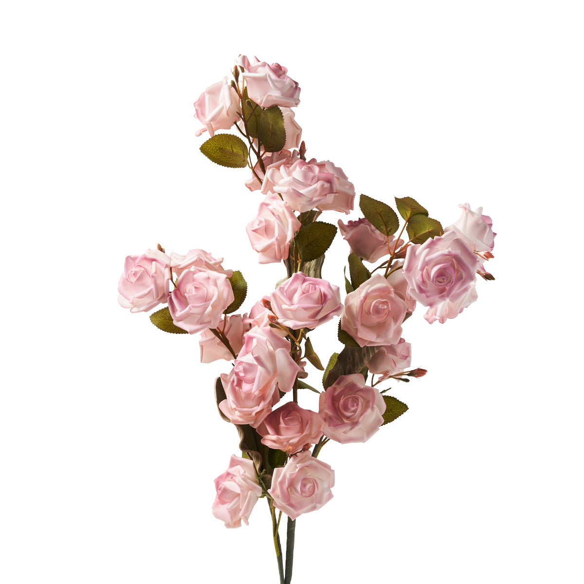 Ramo di rose