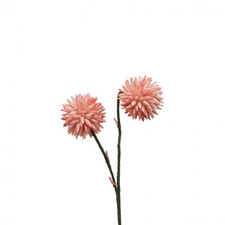 Dalia
