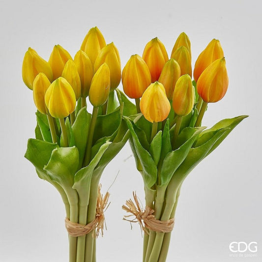 Tulipani boccioli