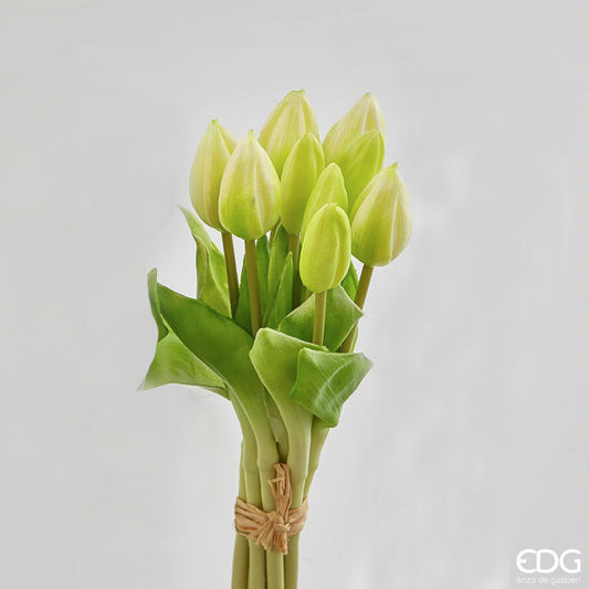 Tulipani boccioli