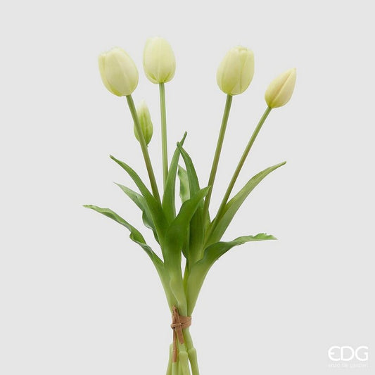 Tulipani Olis