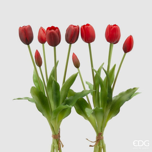 Tulipani Olis