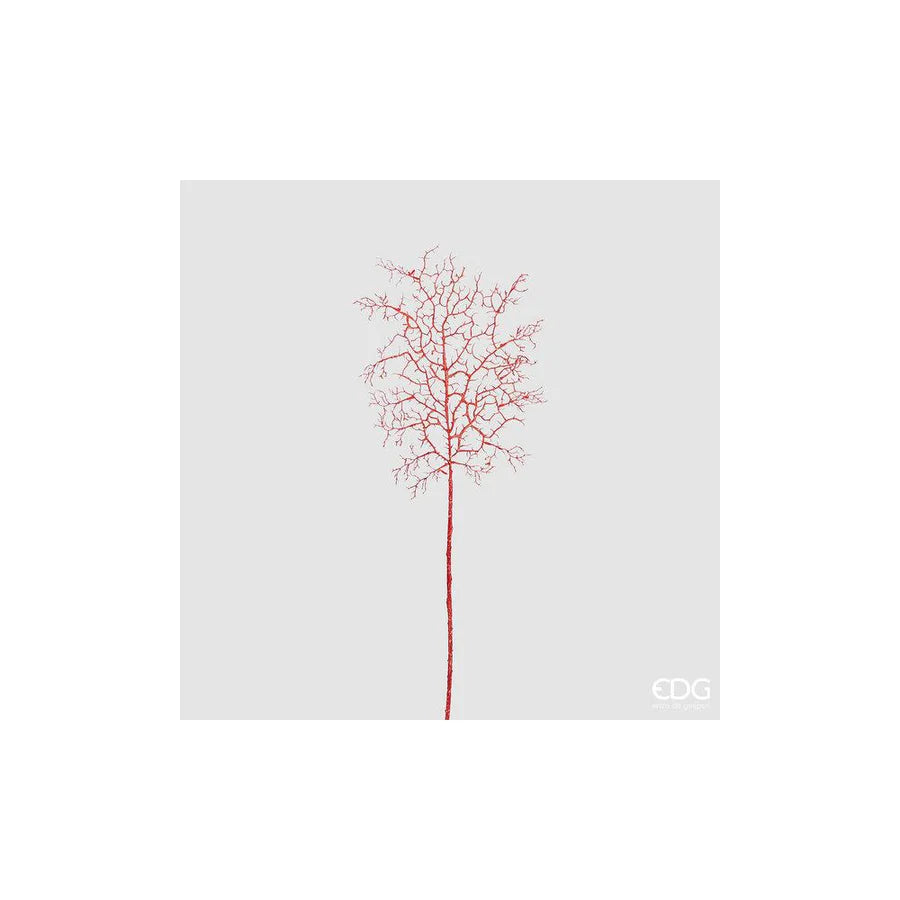 Corallo