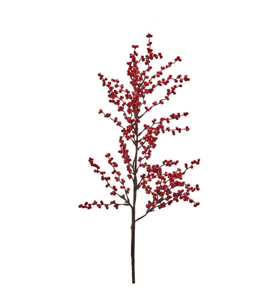 Ramo Ilex (pungitopo) Edg