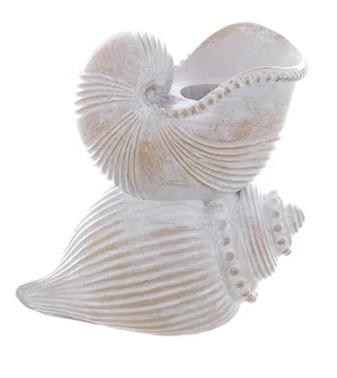 Portacandela conchiglia