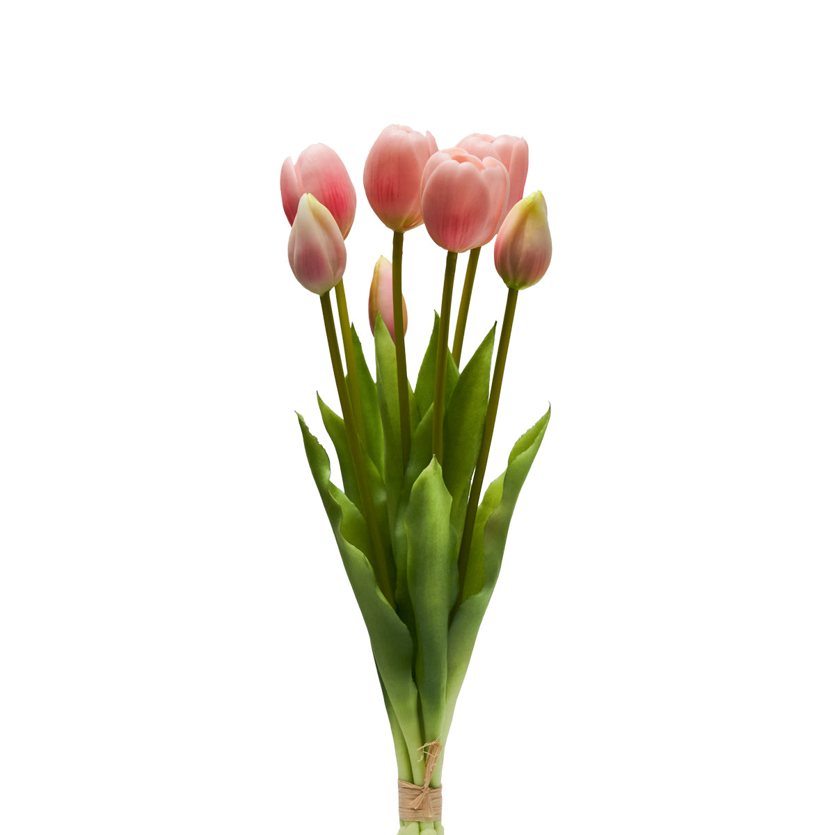 Tulipani Henriette