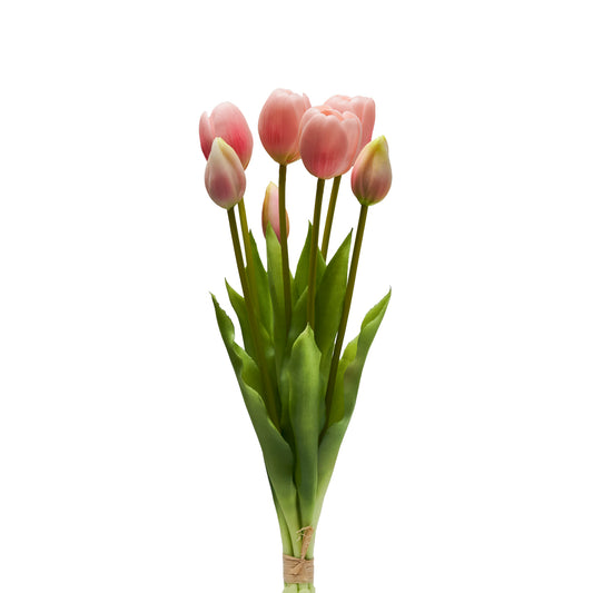 Tulipani Henriette