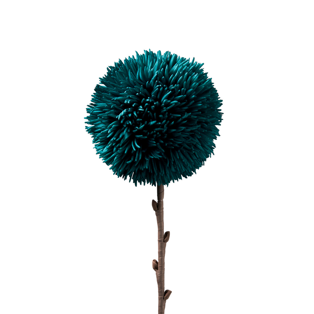 Pom Pom