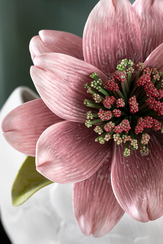 Doppia Magnolia