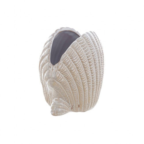 Decoro conchiglia