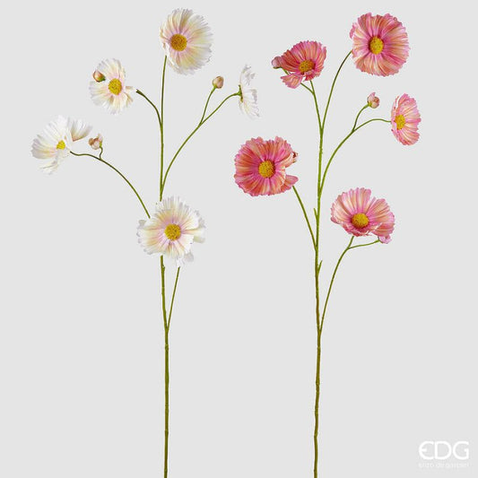 Cosmos
