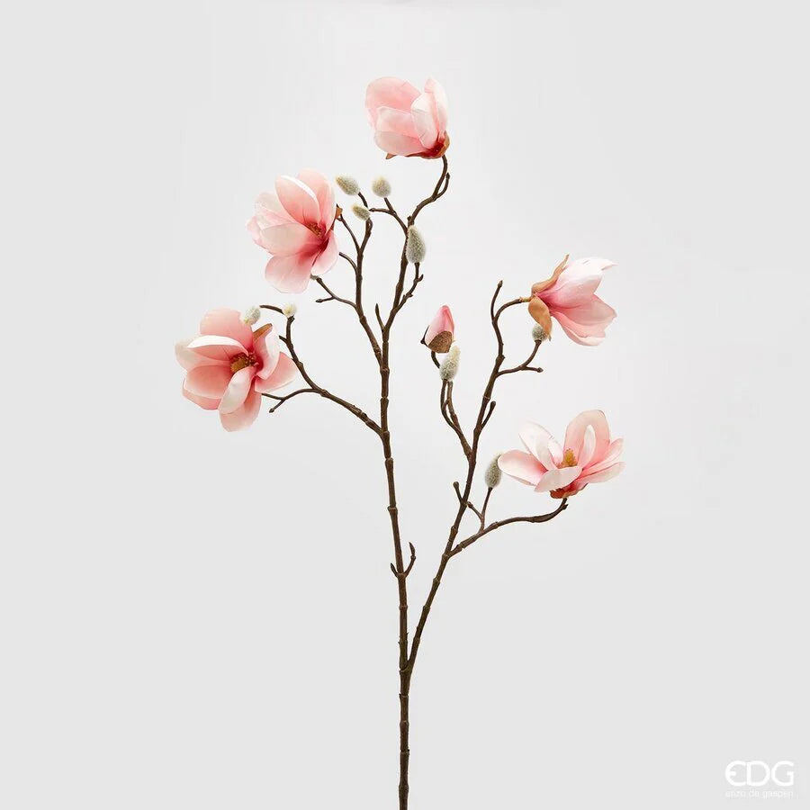 Magnolia Stell Ramo Enzo De Gasperi