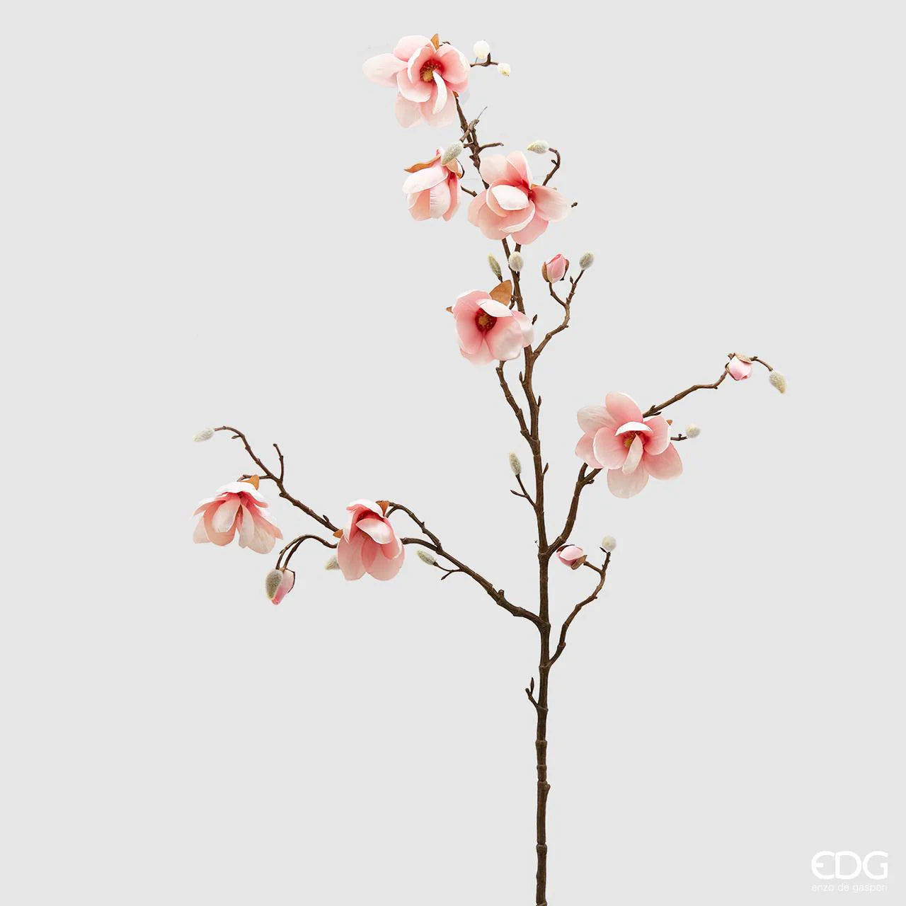 Magnolia Stell Ramo Enzo De Gasperi