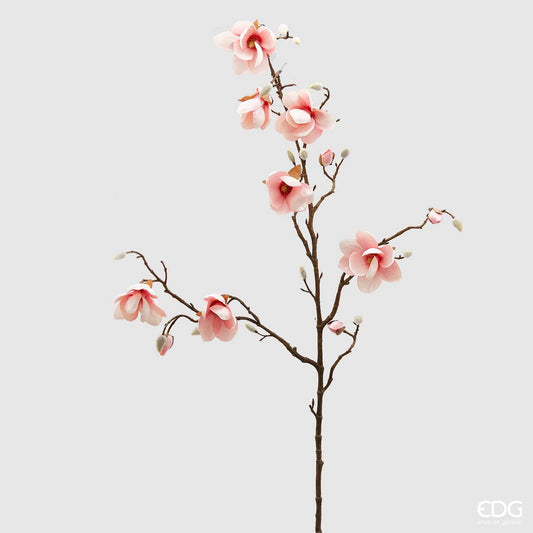 Magnolia Stell Ramo Enzo De Gasperi