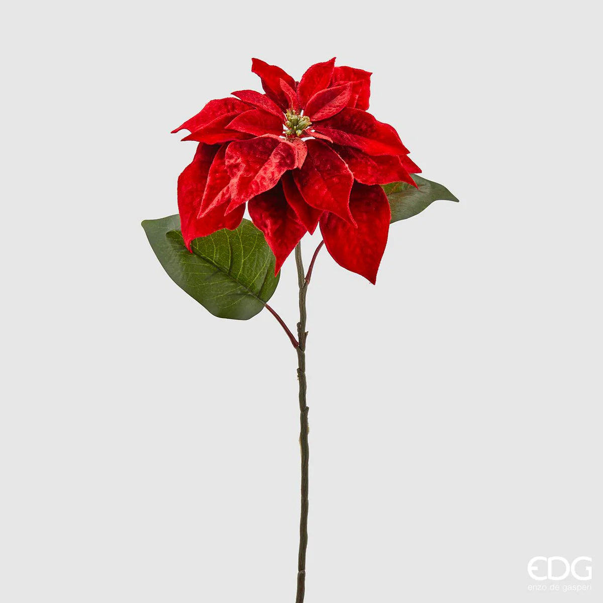 Stella Natale velluto rosso Edg