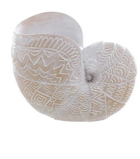 Portacandela conchiglia