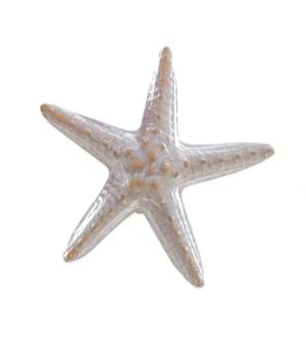 Decorazione marina